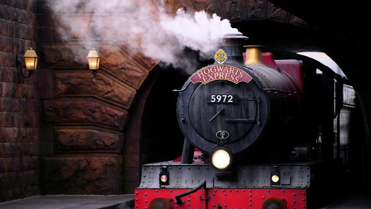 Harry Potter: Fans Celebrate the Iconic Wizard's Birthday 3