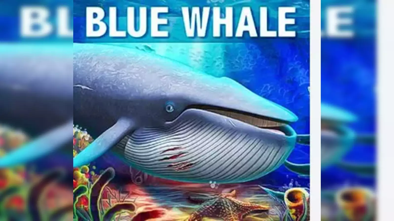 Blue Whale Challenge: Unraveling the Truth Behind the Controversial Online Phenomenon 3